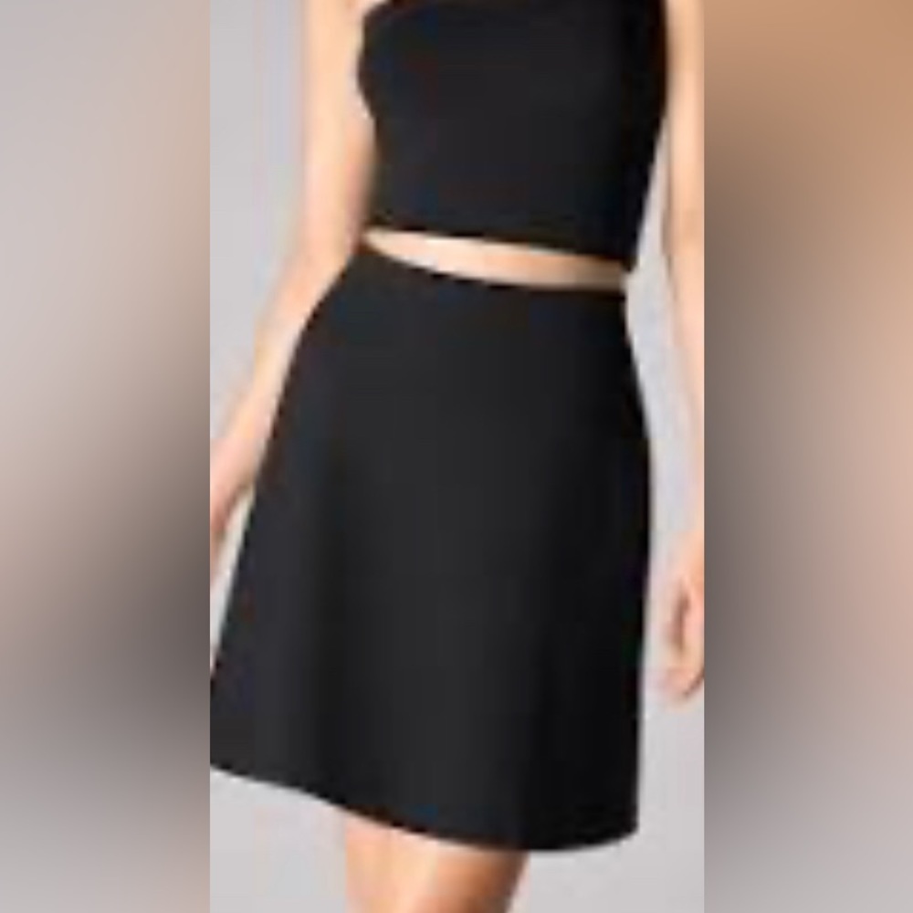 Wolford Baily Skirt